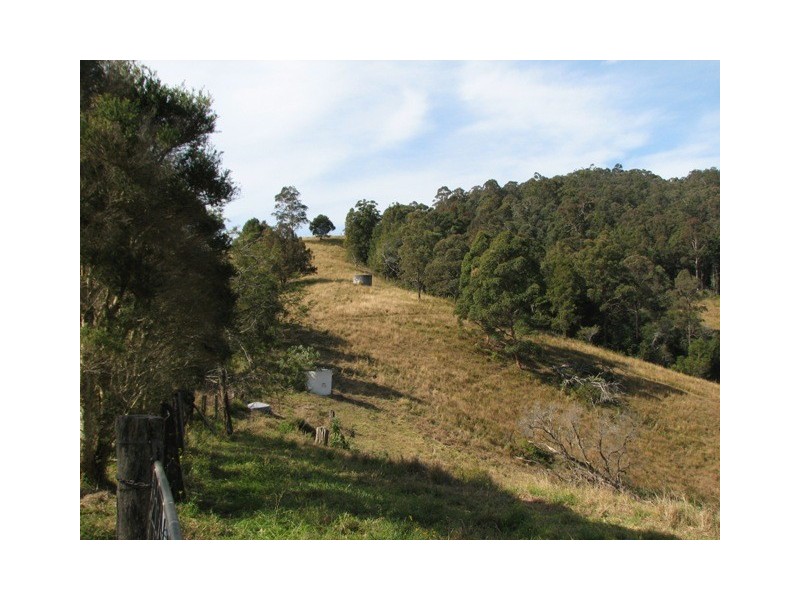 2111 Taylors Arm Rd, Taylors Arm NSW 2447