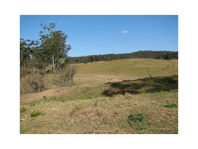 2111 Taylors Arm Rd, Taylors Arm NSW 2447