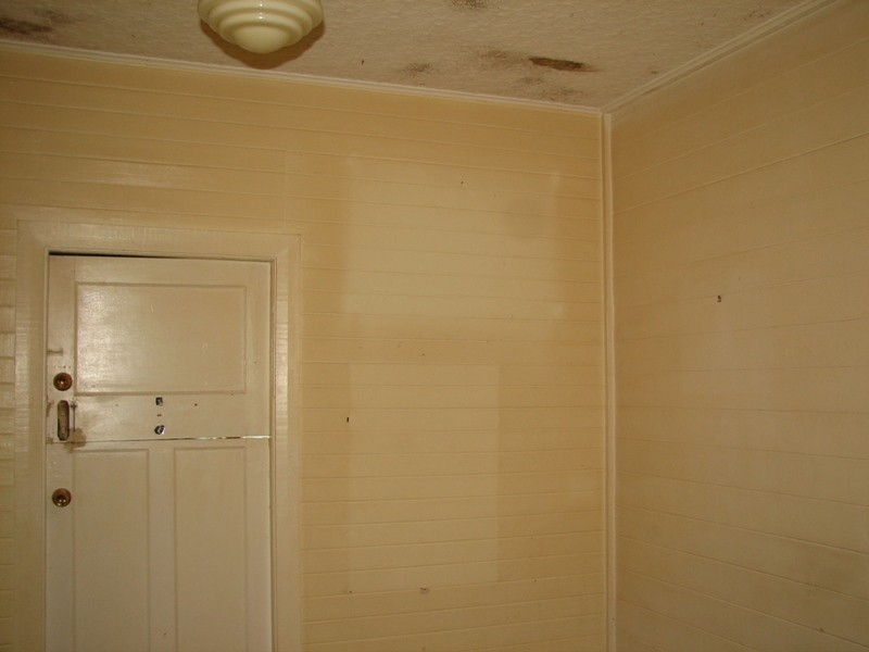 6 Angus Lane, Macksville NSW 2447