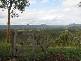 Buckra Bendinni NSW 2449