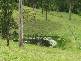 Buckra Bendinni NSW 2449