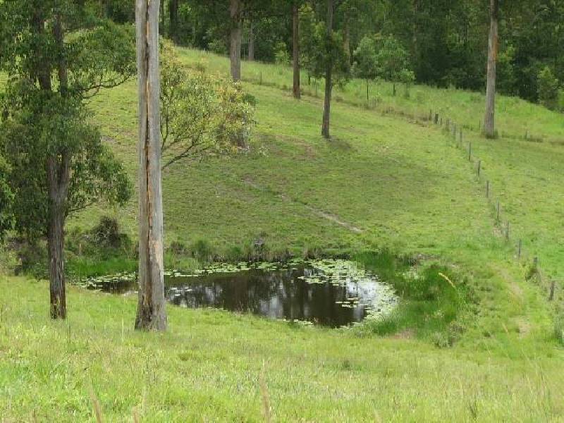 Buckra Bendinni NSW 2449
