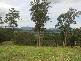 Buckra Bendinni NSW 2449