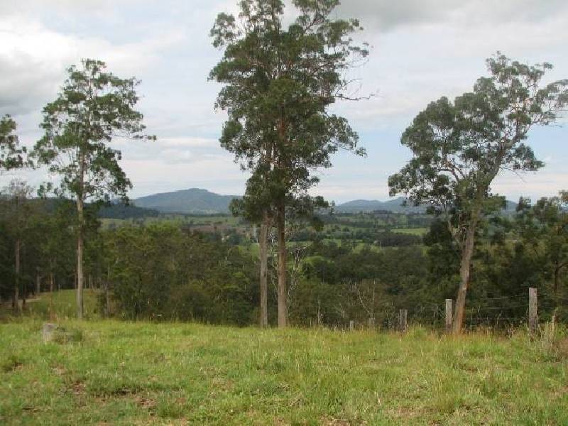 Buckra Bendinni NSW 2449