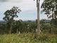 Buckra Bendinni NSW 2449