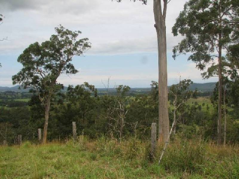 Buckra Bendinni NSW 2449