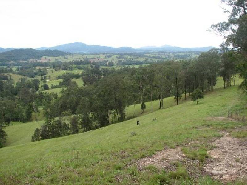 Buckra Bendinni NSW 2449