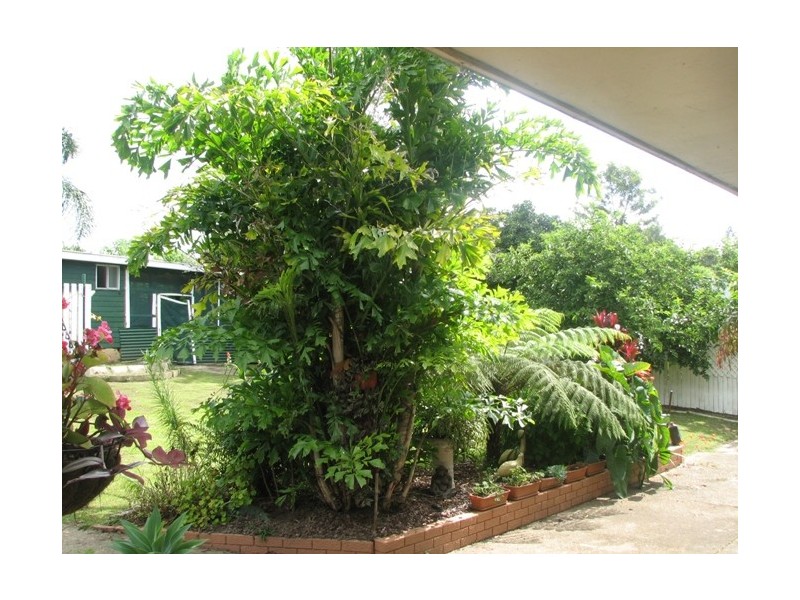 22 Carbin Street, Bowraville NSW 2449