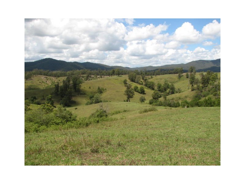 Taylors Arm NSW 2447