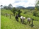 521 Greenhils Rd, Taylors Arm NSW 2447