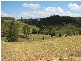 521 Greenhils Rd, Taylors Arm NSW 2447