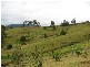 521 Greenhils Rd, Taylors Arm NSW 2447