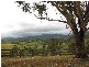 521 Greenhils Rd, Taylors Arm NSW 2447