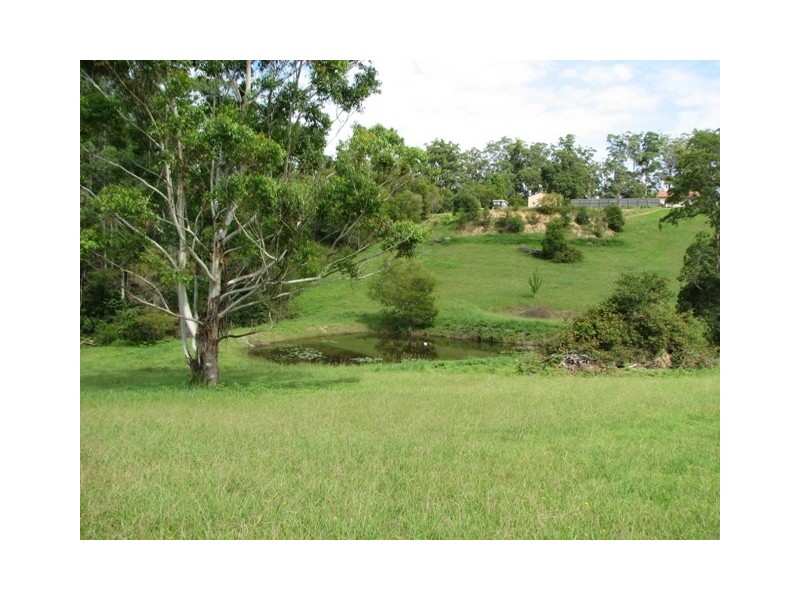158 Congarinni Road Nortth, Macksville NSW 2447
