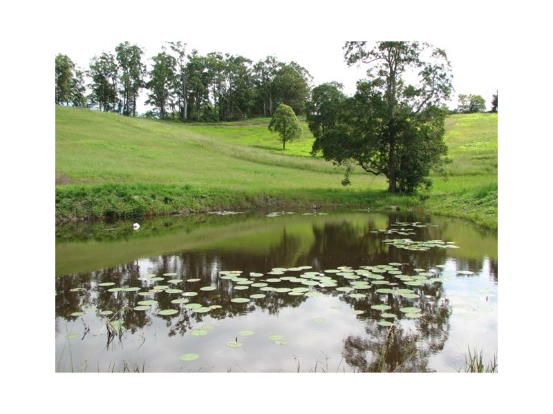 158 Congarinni Road Nortth, Macksville NSW 2447