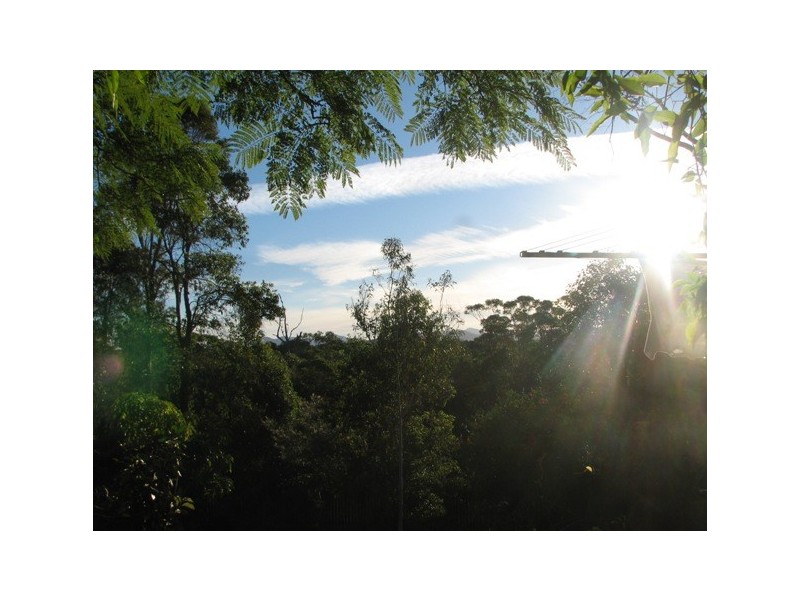 185 Wallace Street, Macksville NSW 2447