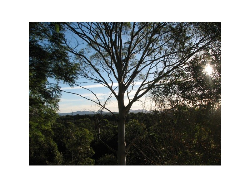 185 Wallace Street, Macksville NSW 2447