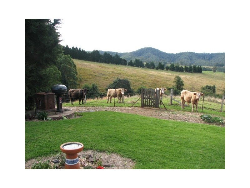 514 Welshs Creek Road, Talarm NSW 2447