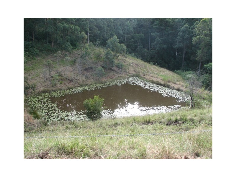 514 Welshs Creek Road, Talarm NSW 2447