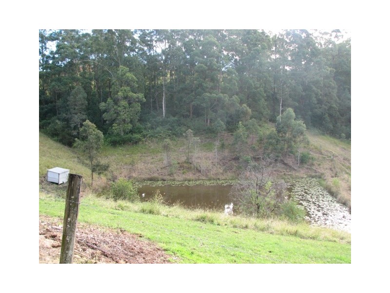 514 Welshs Creek Road, Talarm NSW 2447