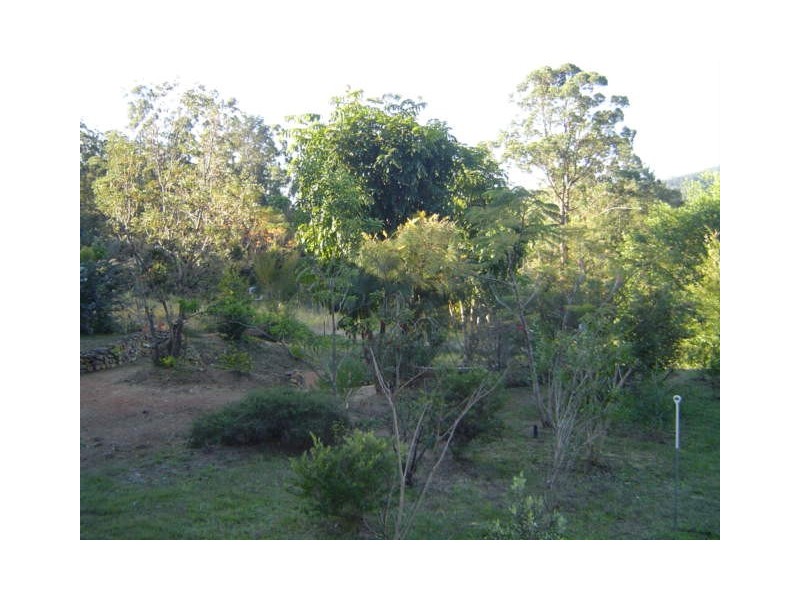 84 Main Street, Eungai Creek NSW 2441