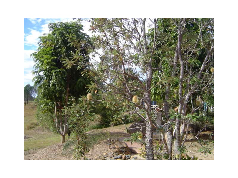 84 Main Street, Eungai Creek NSW 2441