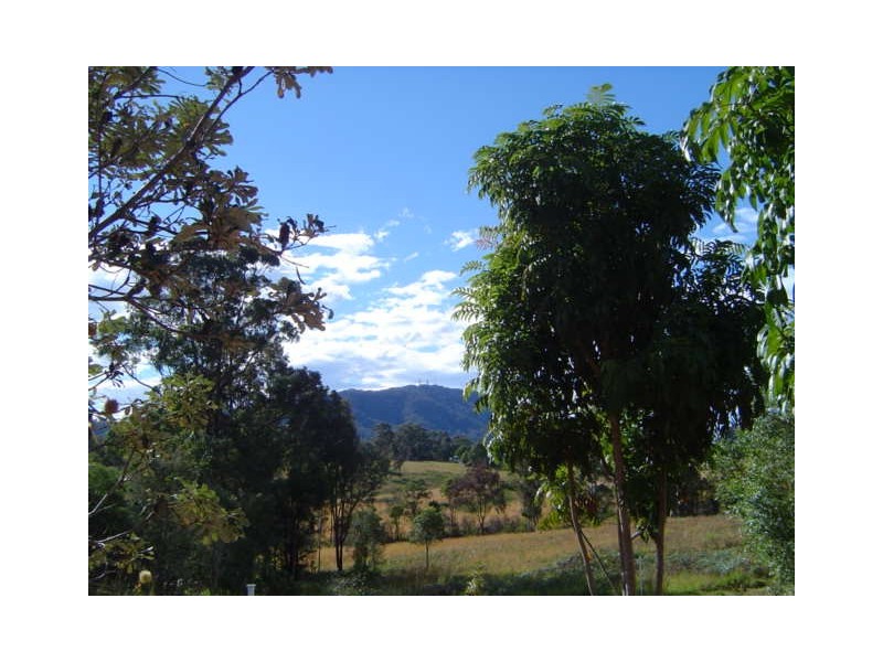 84 Main Street, Eungai Creek NSW 2441