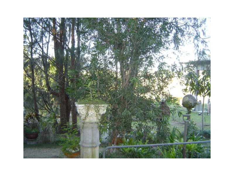 84 Main Street, Eungai Creek NSW 2441