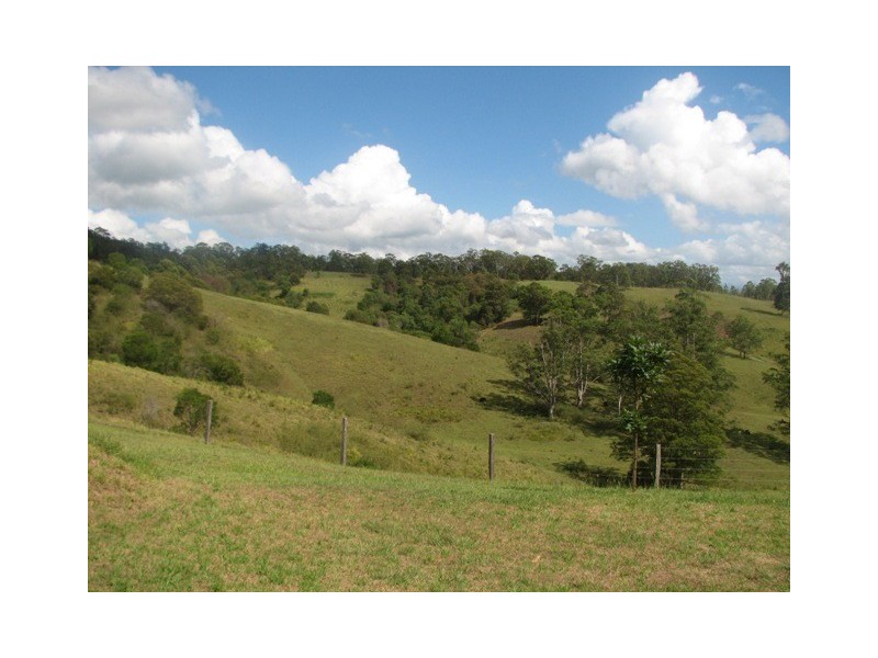 Taylors Arm NSW 2447