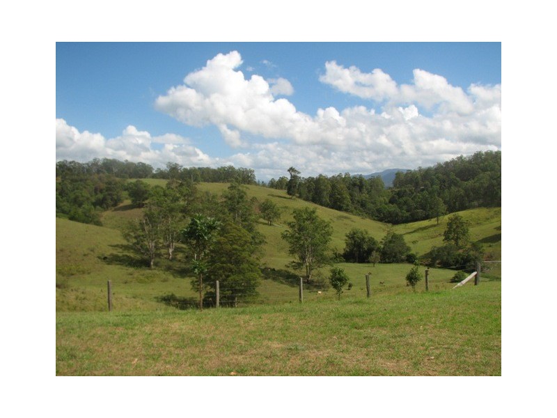 Taylors Arm NSW 2447