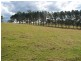 Lot 21, 2 Upper Warrell Creek Road, Macksville NSW 2447