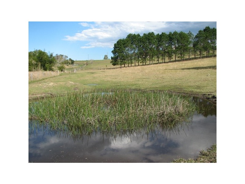 Lot 21, 2 Upper Warrell Creek Road, Macksville NSW 2447