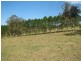 Lot 21, 2 Upper Warrell Creek Road, Macksville NSW 2447