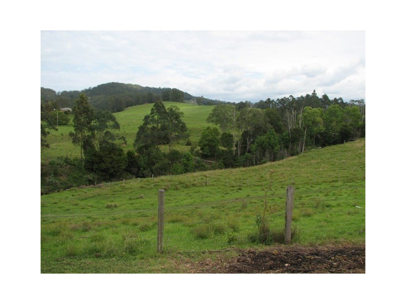 36 Welshs Creek Rd, Talarm NSW 2447