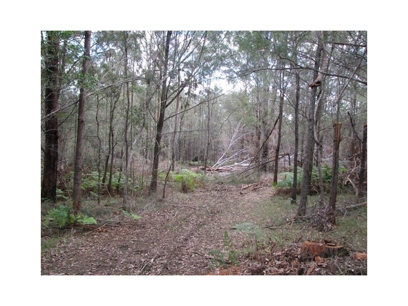74 Lukes Lane, Barraganyatti NSW 2441