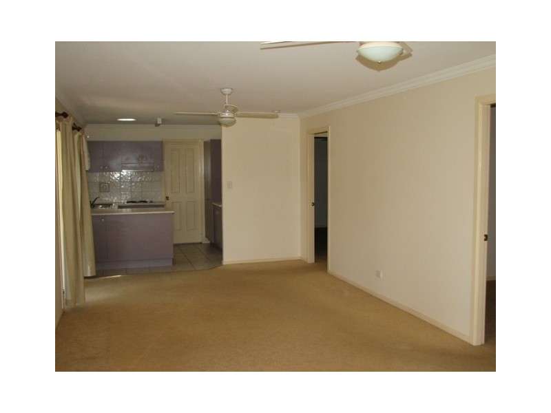 Newee Creek NSW 2447