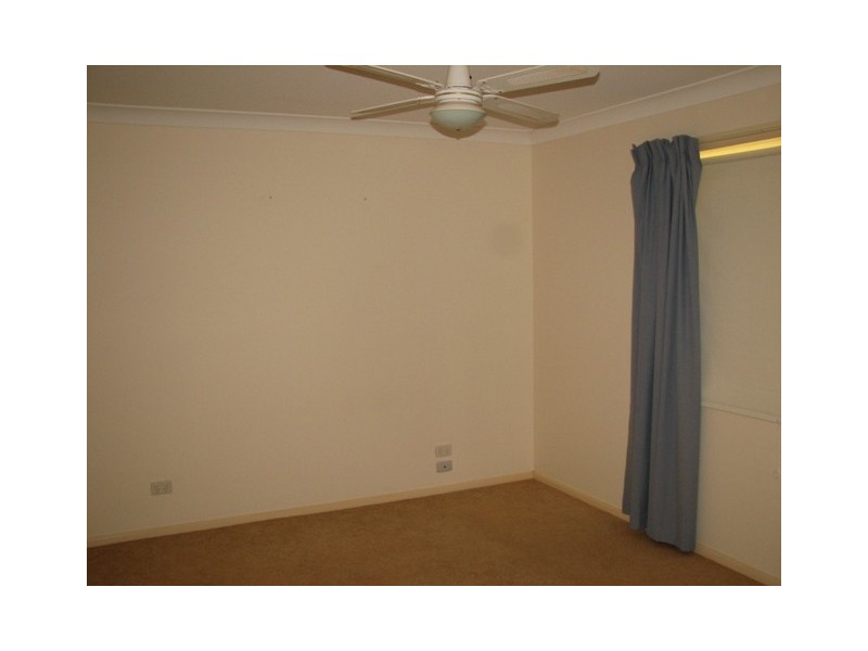 Newee Creek NSW 2447