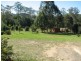 Newee Creek NSW 2447