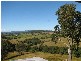 Talarm NSW 2447