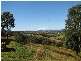 Talarm NSW 2447
