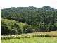 Talarm NSW 2447