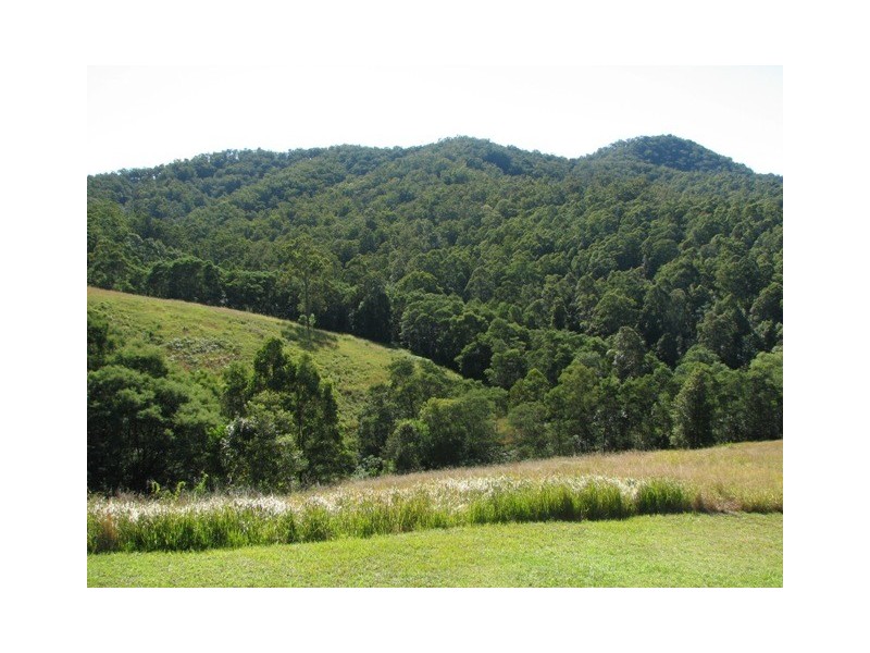 Talarm NSW 2447