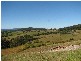 Talarm NSW 2447