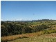 Talarm NSW 2447