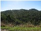 Talarm NSW 2447