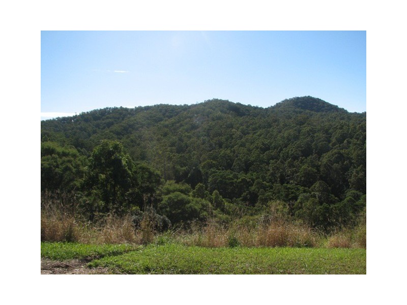 Talarm NSW 2447