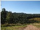 Talarm NSW 2447