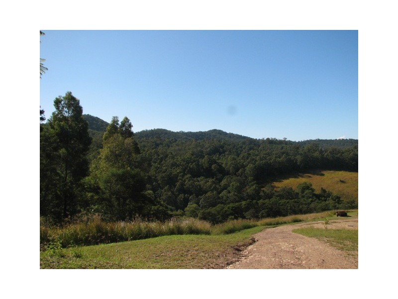 Talarm NSW 2447