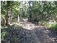 Talarm NSW 2447