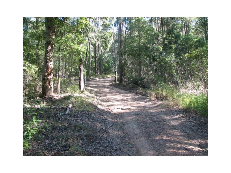 Talarm NSW 2447